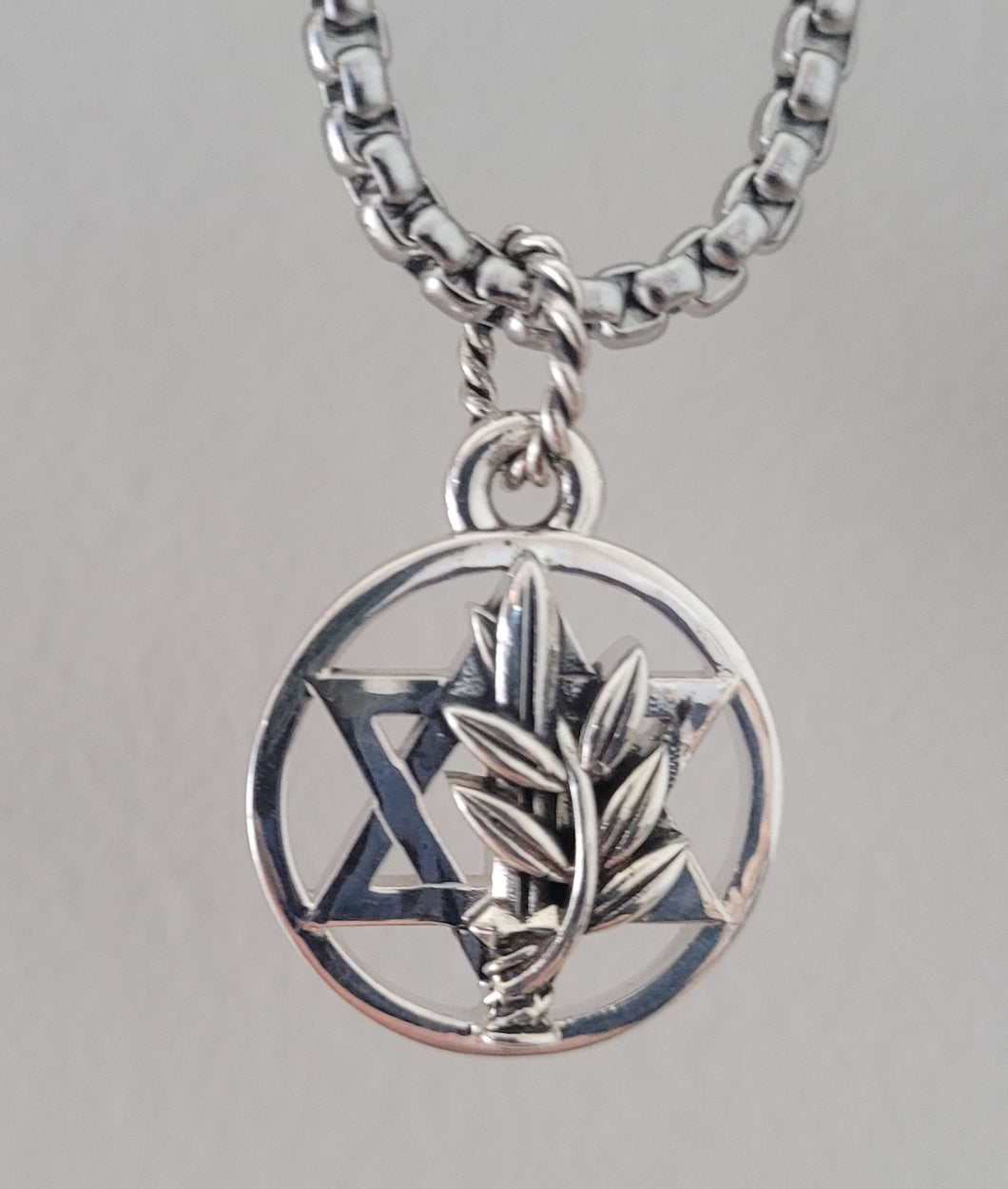 Palmach Star in Sterling Silver
